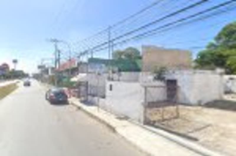 INGENIERÍA CELULAR — photo 1
