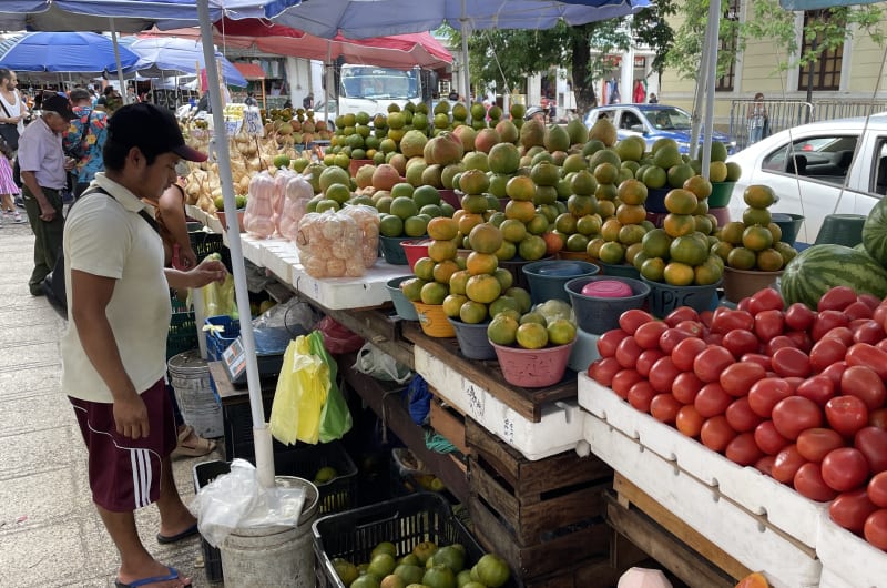 Mercado municipal — photo 3