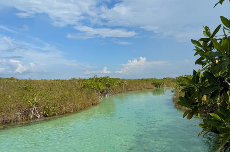 Reserva de la Biósfera Sian Ka'an — photo 1