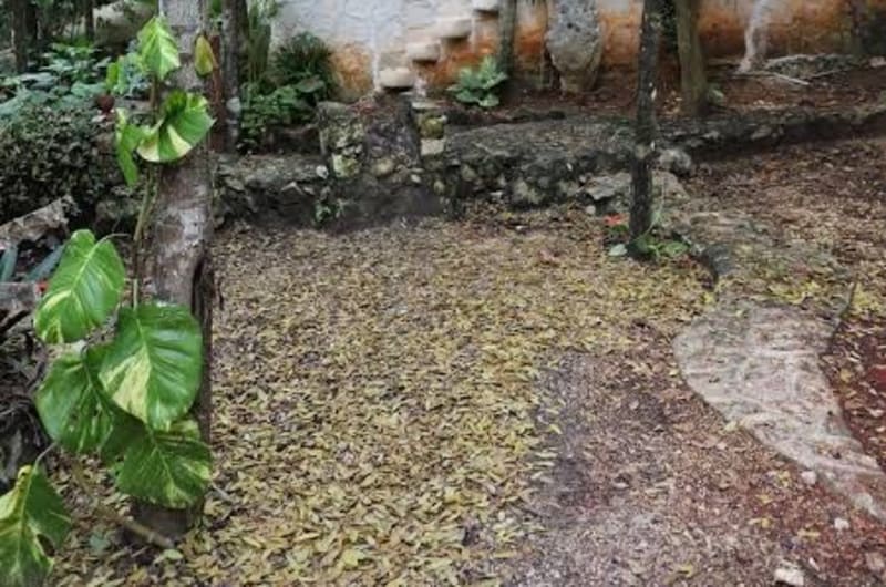 Tulum Jungle House with Swimming Pool - Relax and Spiritual Connection — photo 2