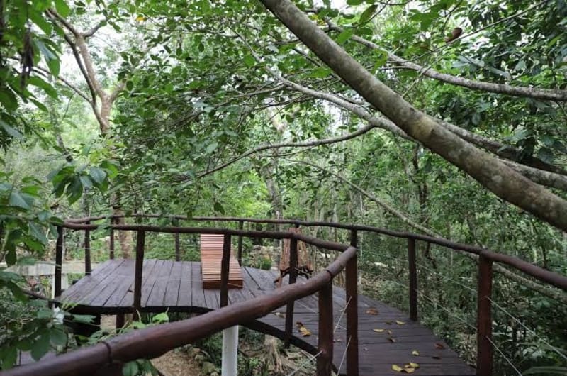 Tulum Jungle House with Swimming Pool - Relax and Spiritual Connection — photo 3