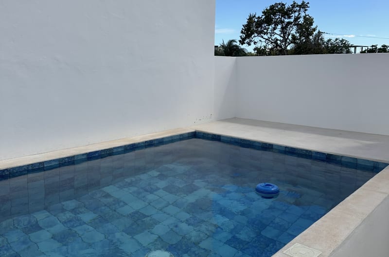 Yaax Kiin — photo 3