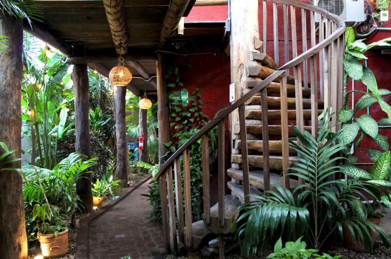 L'hotelito — photo 1
