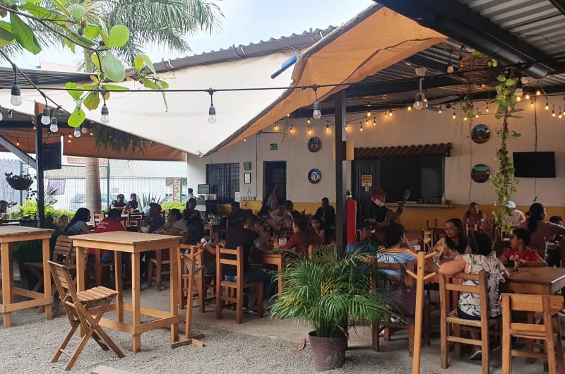 Los Agaves — photo 1