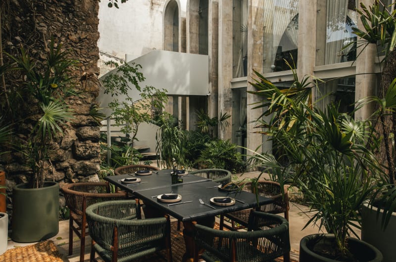Ariadna Mérida — photo 1