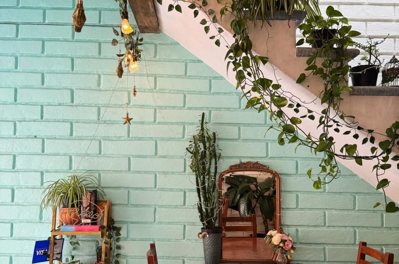 Café la Fábula — photo 3