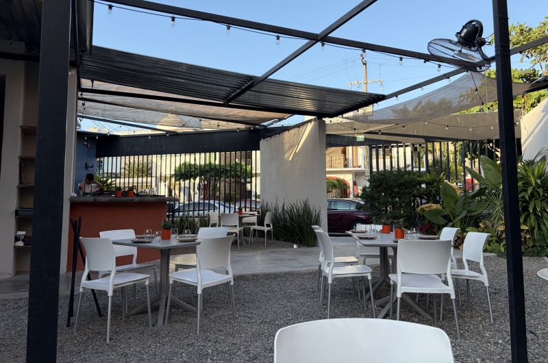 Miguela — photo 2