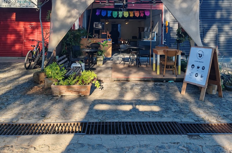 Conejo Negro Café — photo 2