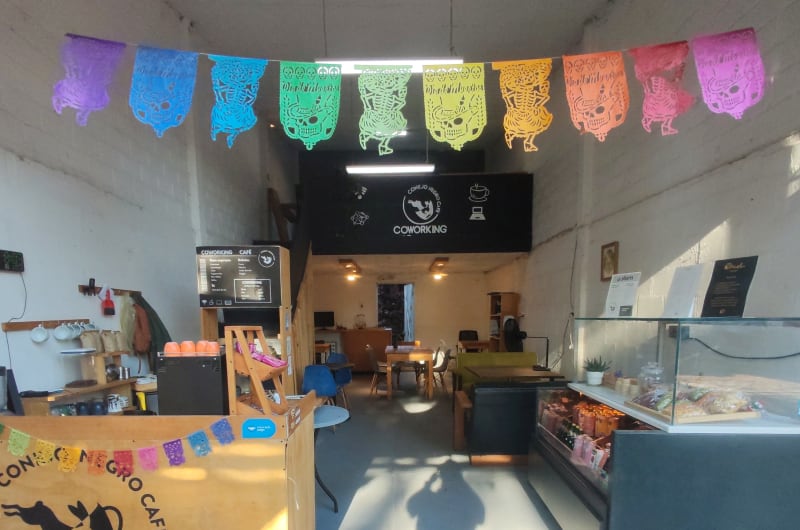 Conejo Negro Café — photo 3
