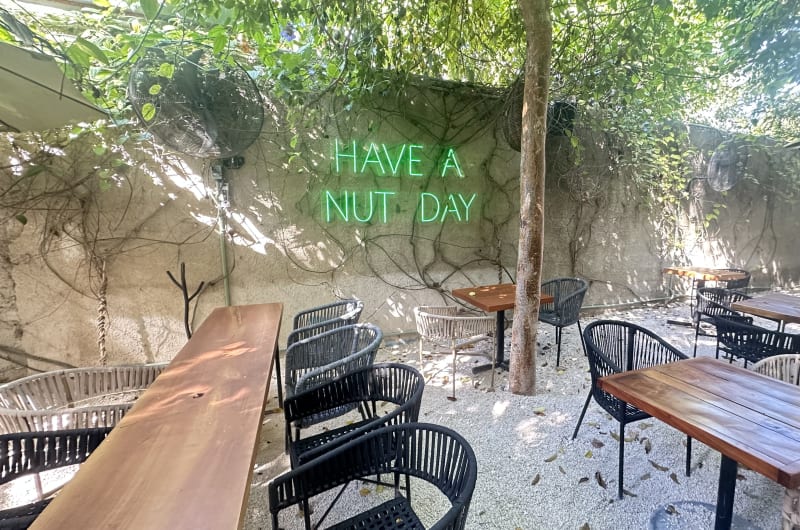 Nutcafé Centro — photo 1