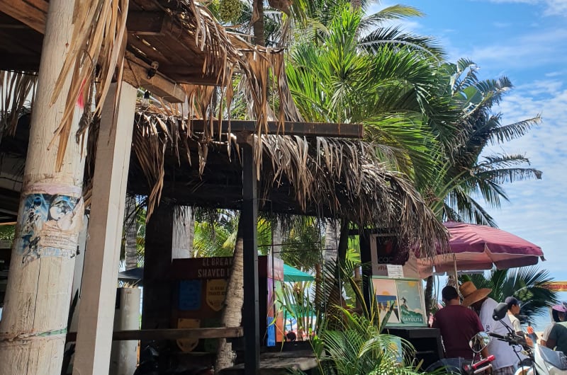 Aloha Sayulita — photo 3