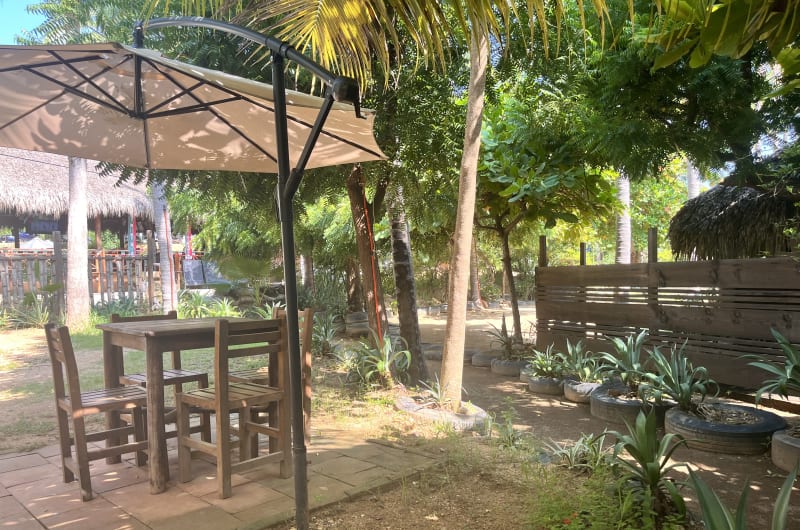 La Bodega — photo 3