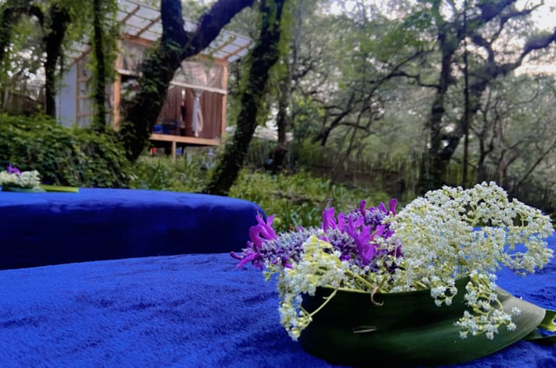 Essentia Spa — photo 1