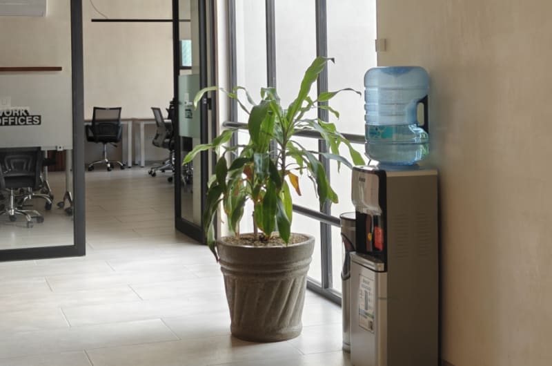 SuWork Offices Mérida — photo 3