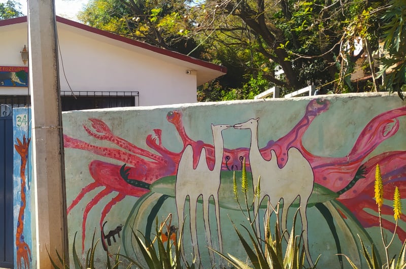 Tepozcuates Veterinaria — photo 1