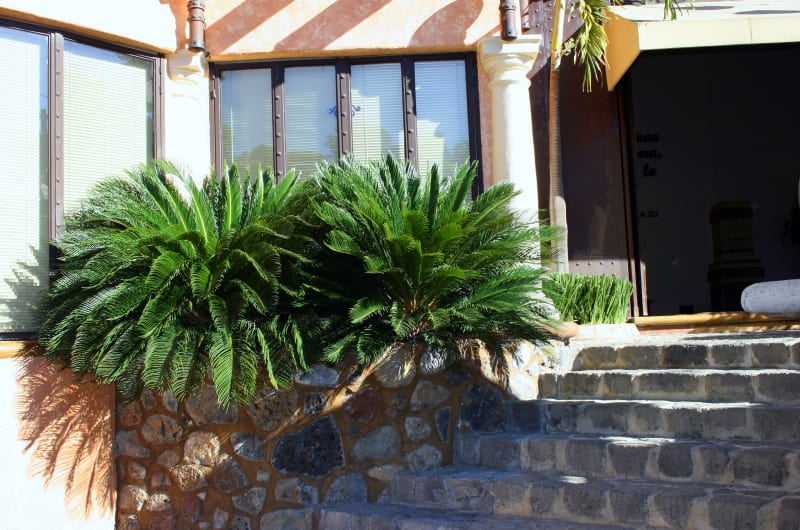 José Antonio Acosta Pérez — photo 3