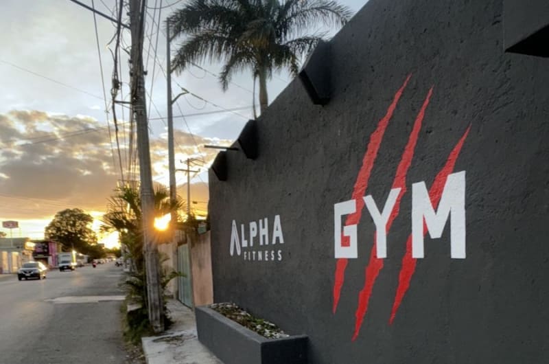 Alpha Fitness Mérida — photo 1