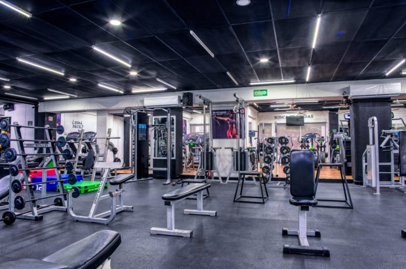 B-Fitness — photo 2
