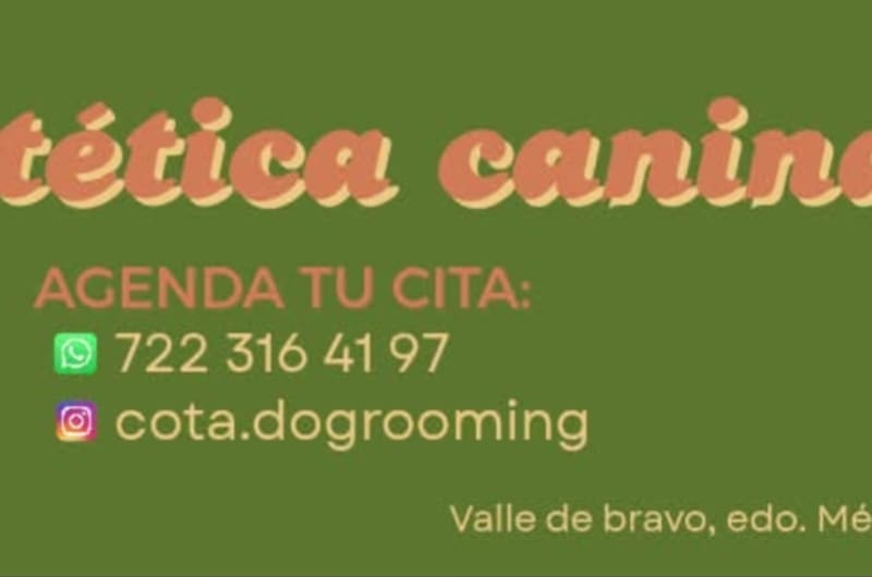 COTA Dog Grooming — photo 1