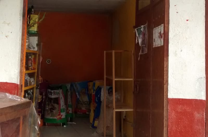 El Gallinazo — photo 1