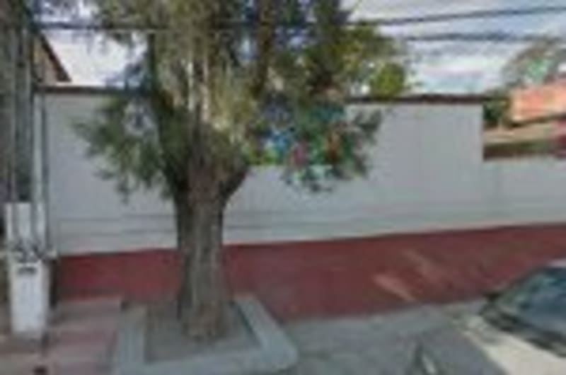 El Gallinazo — photo 2