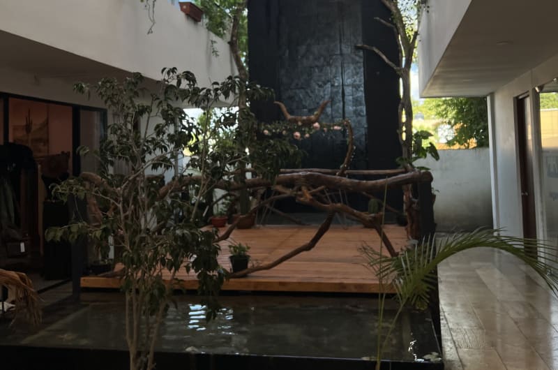 Ánimo Cowork — photo 2