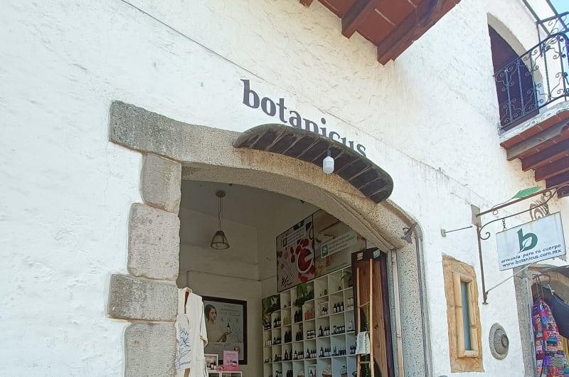 Botanicus — photo 1