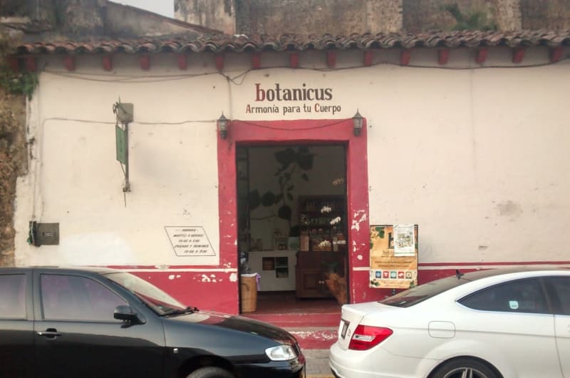 Botanicus — photo 3