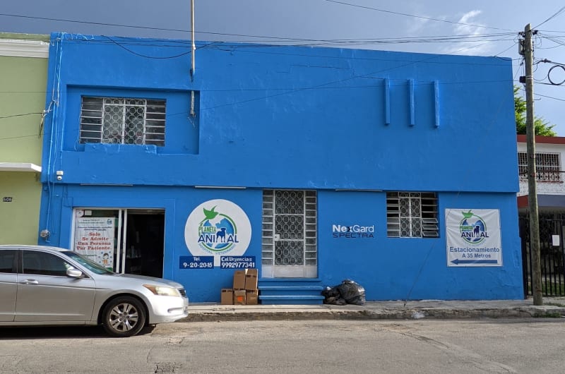 VETERINARY CLINIC ANIMAL PLANET — photo 3