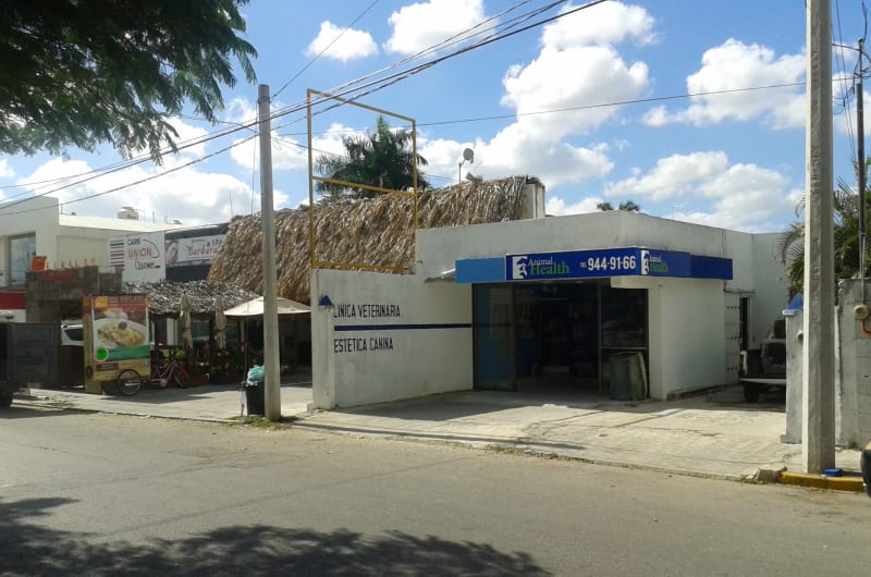 Animal Health — photo 2