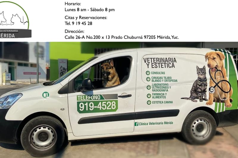 Clínica Veterinaria Mérida — photo 1