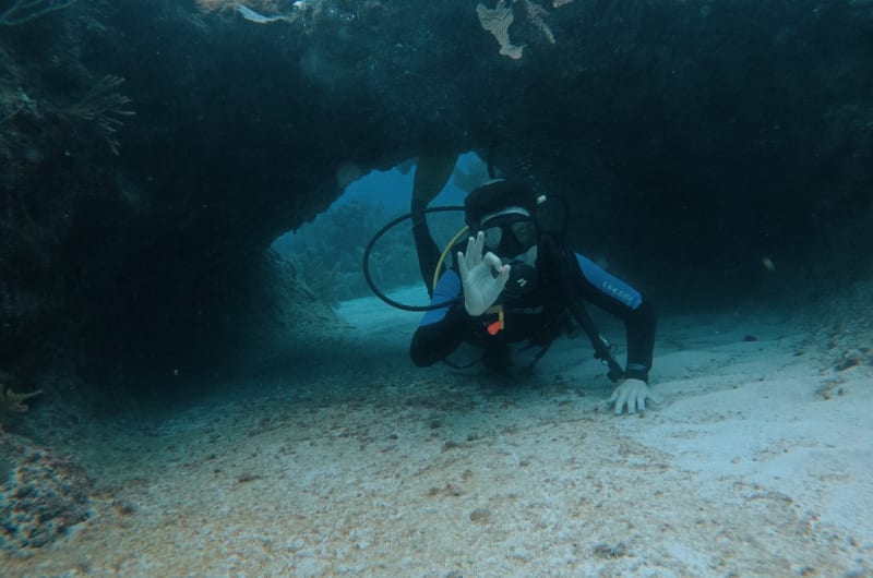 Mexidivers — photo 2