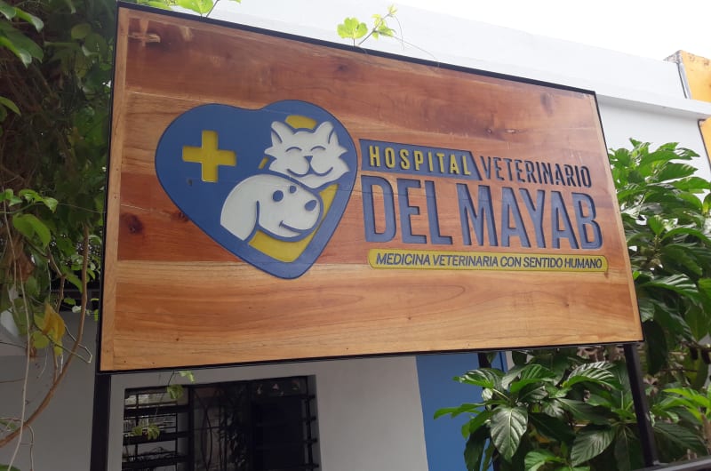 Hospital Veterinario y Estetica del Mayab — photo 3