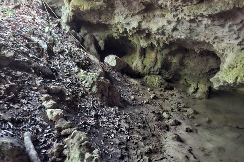 Cenote Toh — photo 2