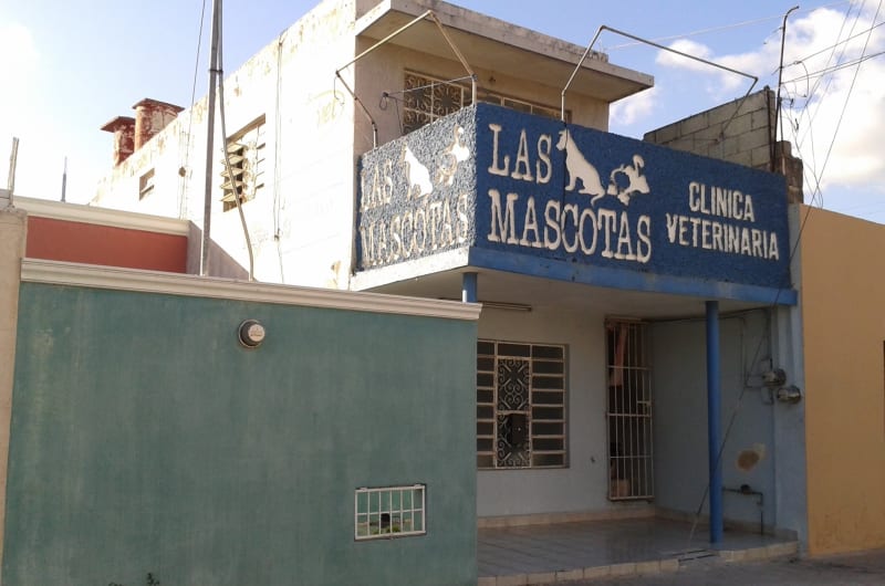LAS MASCOTAS CLÍNICA VETERINARIA — photo 1