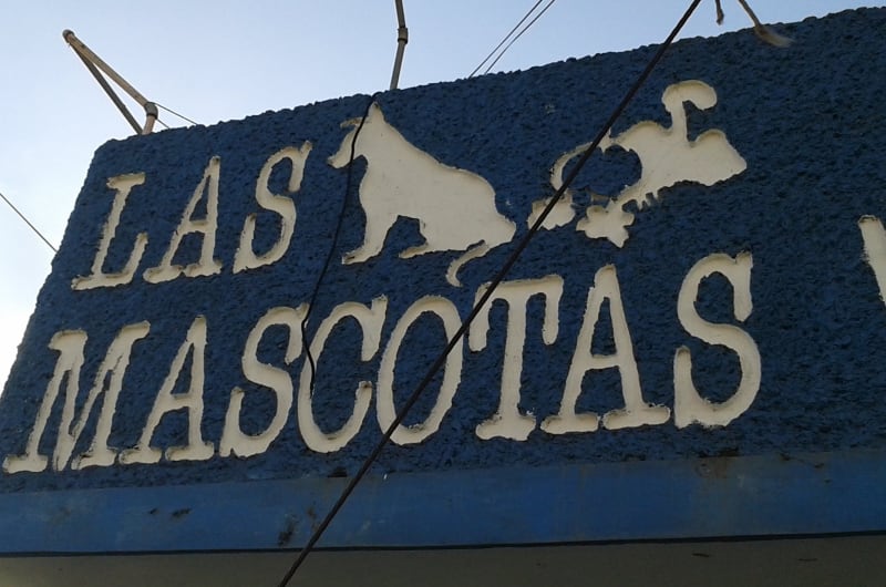 LAS MASCOTAS CLÍNICA VETERINARIA — photo 2