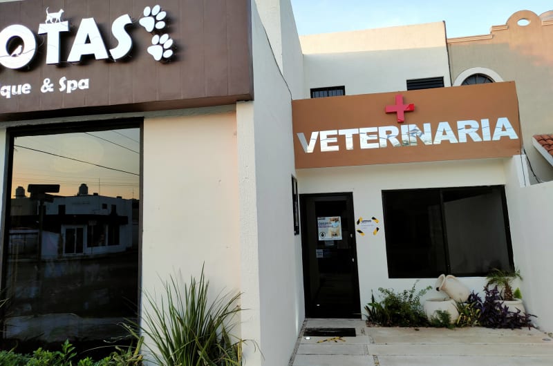 Clínica Veterinaria Mascotas boutique & spa — photo 1