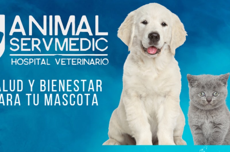 Animal Servmedic — photo 1