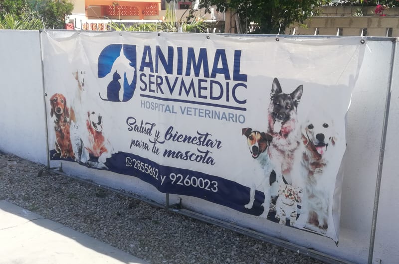 Animal Servmedic — photo 2
