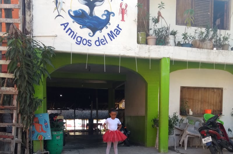 Amigos del Mar — photo 1