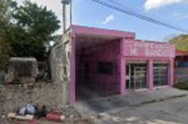 ANIMALS - Veterinaria y estetica canina — photo 1