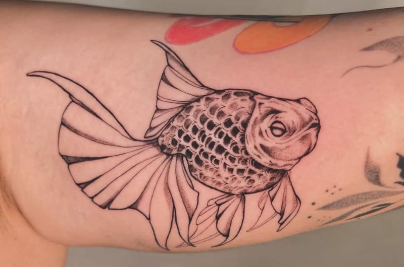 MalandrINK Tattoo Studio — photo 1