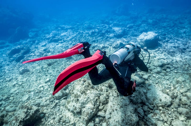 Cosmic Divers Vallarta — photo 1