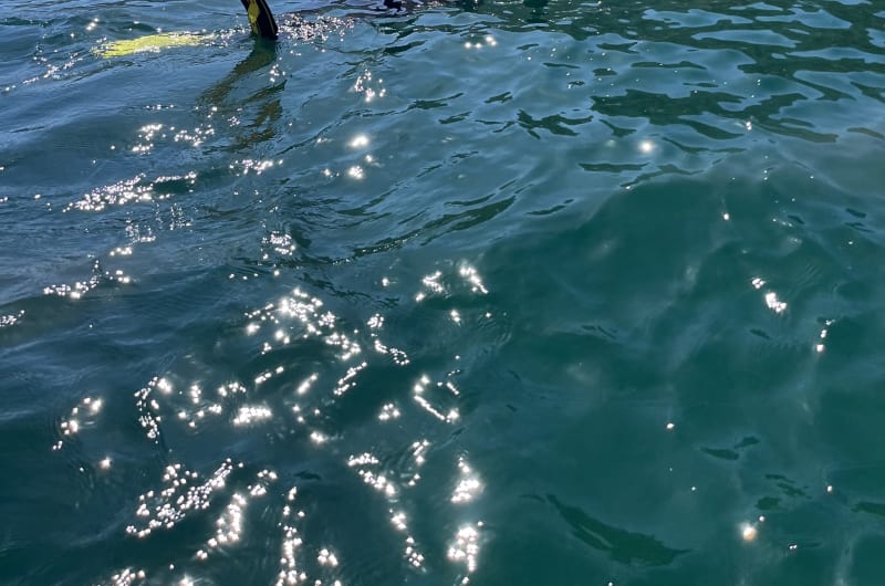 Cosmic Divers Vallarta — photo 2