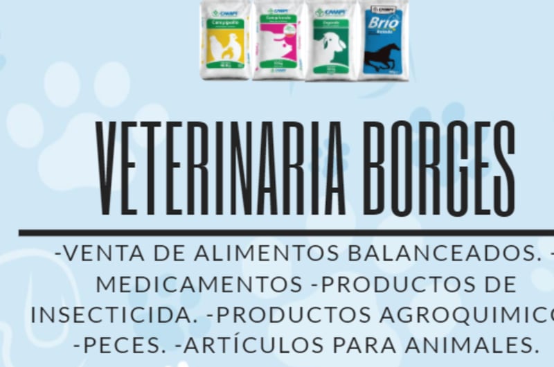 Veterinaria Borges — photo 3