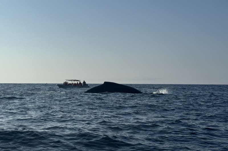 Lagunita Tours Magico — photo 1