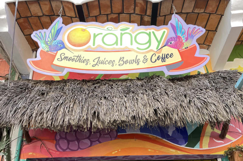 Orangy Smoothies — photo 1