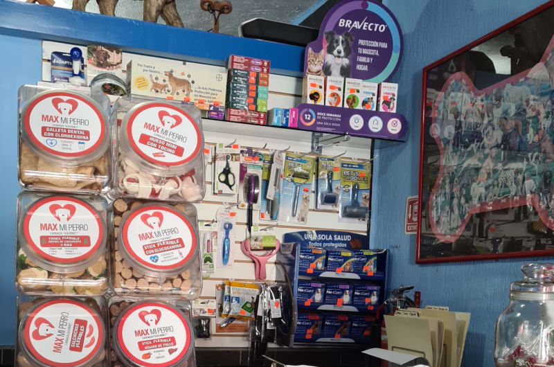 VETERINARIA Y ESTETICA MASCOTA´S — photo 2