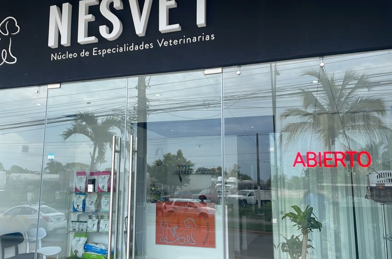 Nesvet Núcleo de Especialidades Veterinarias — photo 1