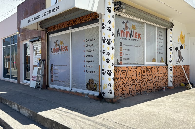 AnimAlex — photo 3